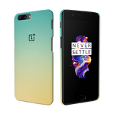 OnePlus 5/1Plus 5 Back Cover and Case Gradient Design