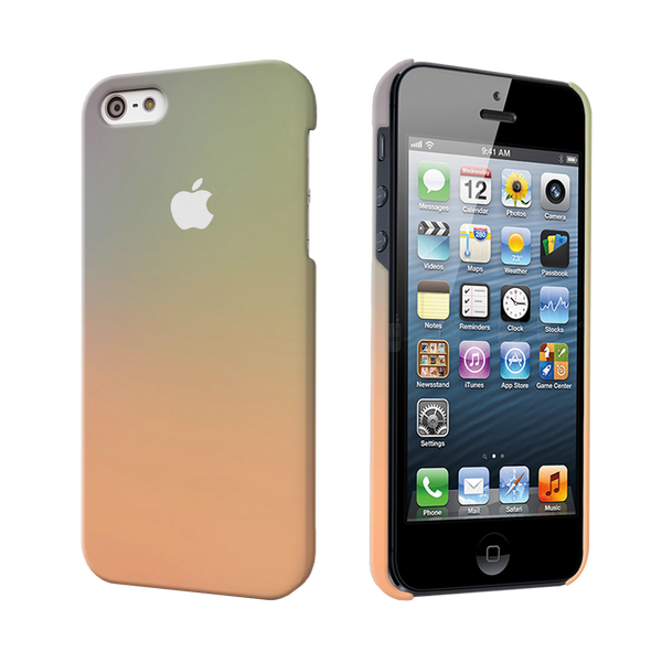 iPhone 5S SE Back Cover and Case New Gradient Design