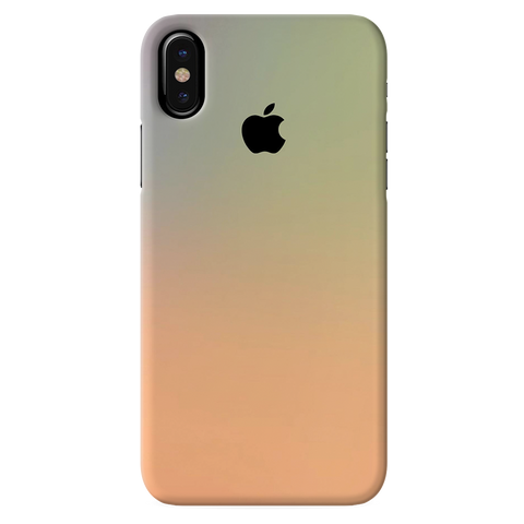 iPhone X 10 Back Cover and Case New Gradient