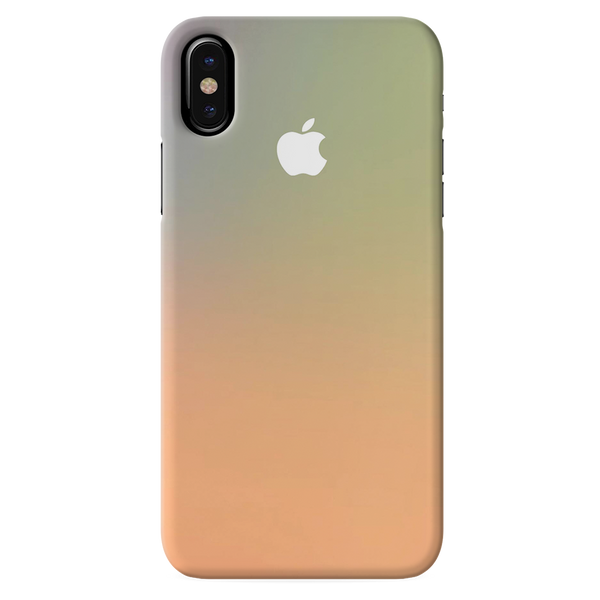 iPhone X 10 Back Cover and Case New Gradient Design