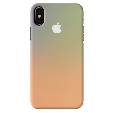 iPhone X 10 Back Cover and Case New Gradient Design