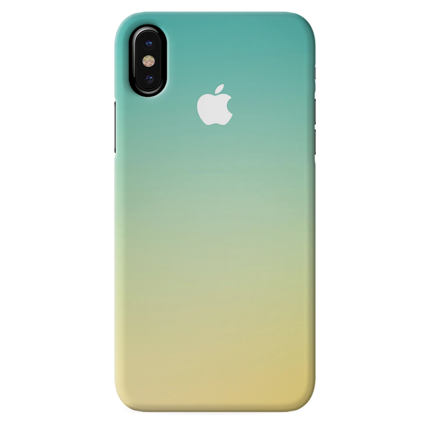 iPhone X 10 Back Cover and Case New Gradient Design