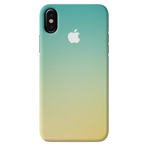 iPhone X 10 Back Cover and Case New Gradient Design